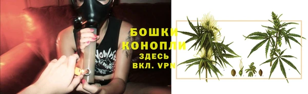 гидропоника Арсеньев