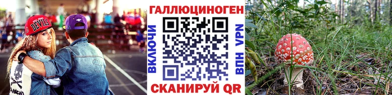 Псилоцибиновые грибы Psilocybe  Сельцо 